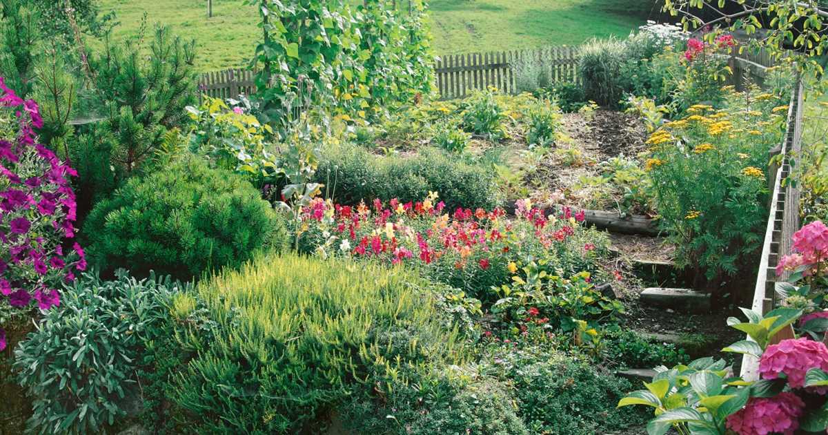 Einen Bauerngarten anlegen Tipps zur Gestaltung Gartencenter Meckelburg