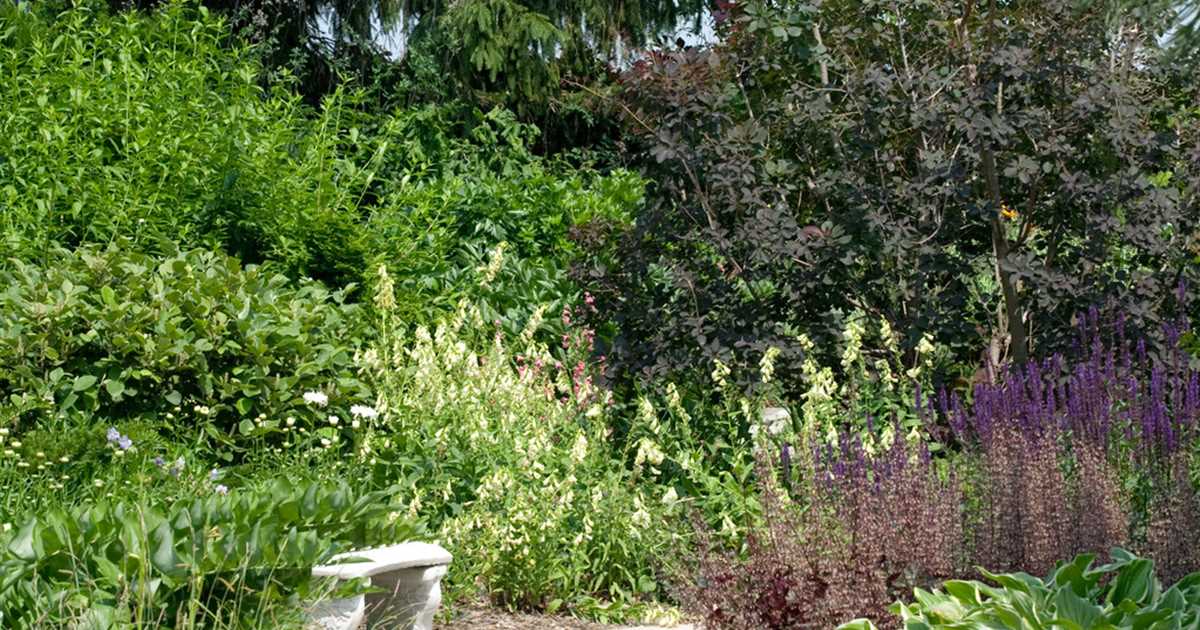 Schwalmstadt sie sucht ihn
